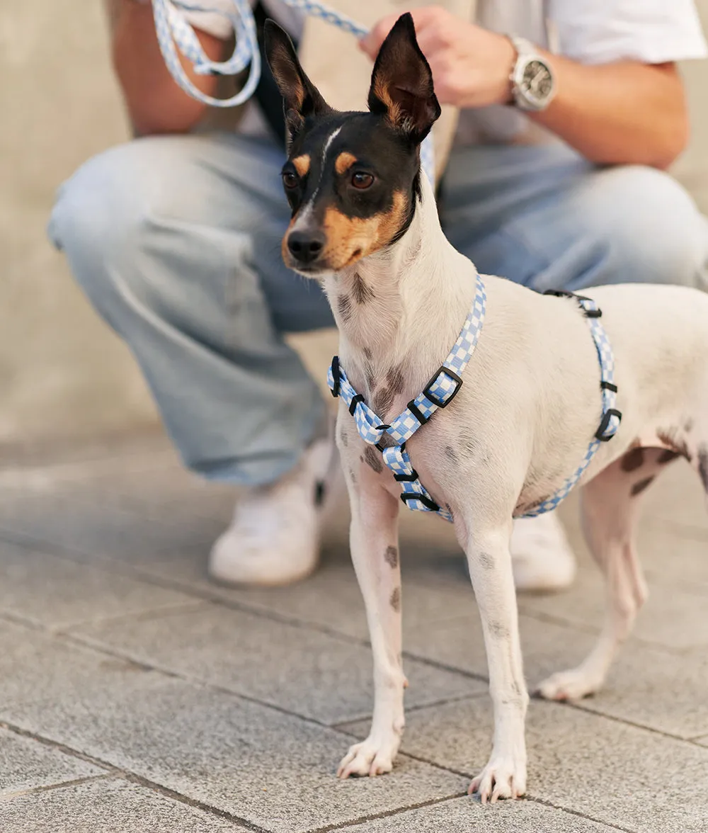 Arnés PET Reciclado Diseño Vichy Azul, Juno