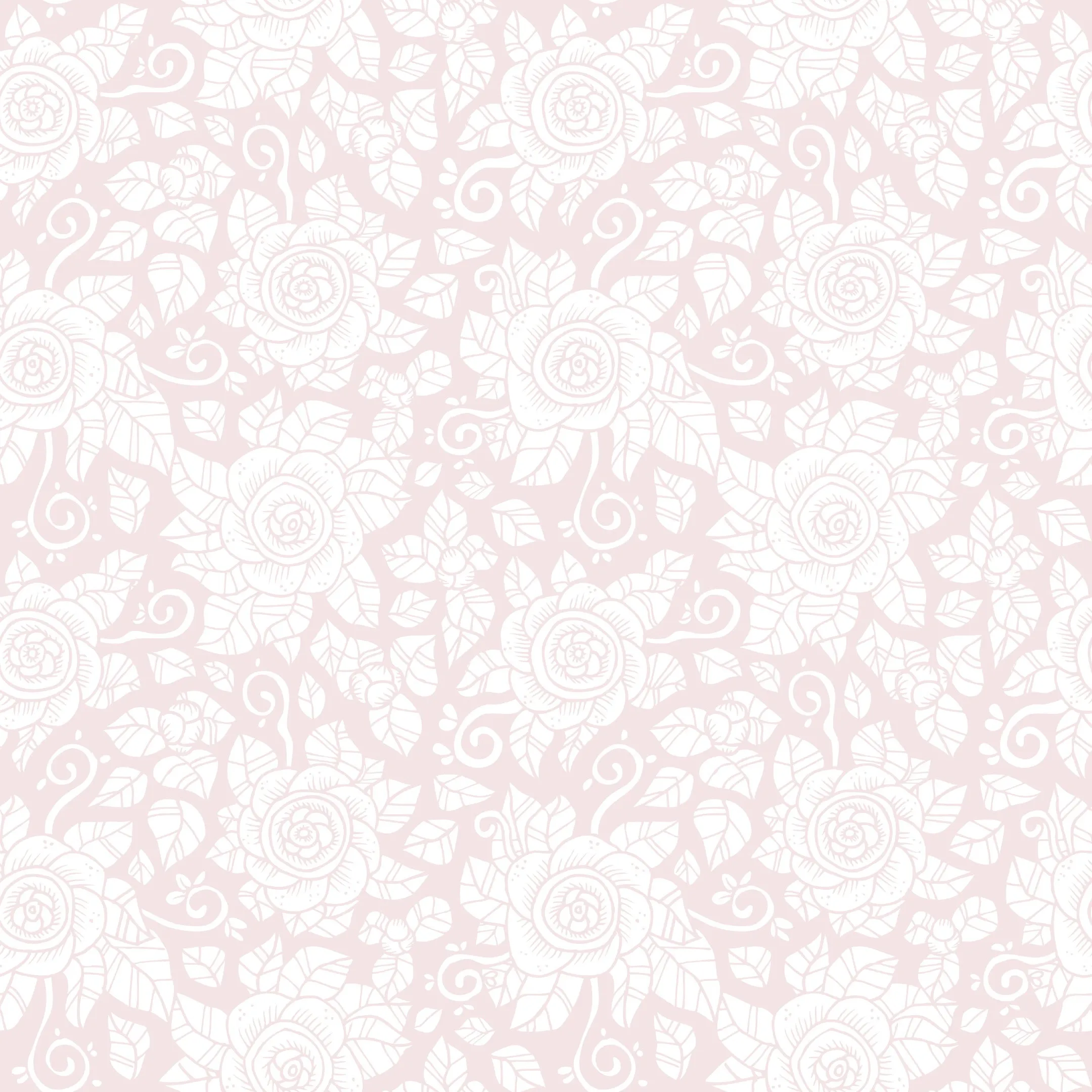 Simplex Roses - Rosa