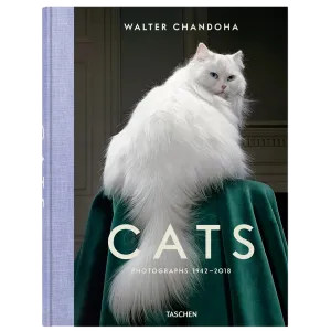 Walter Chandoha. Cats. Photo 19422018
