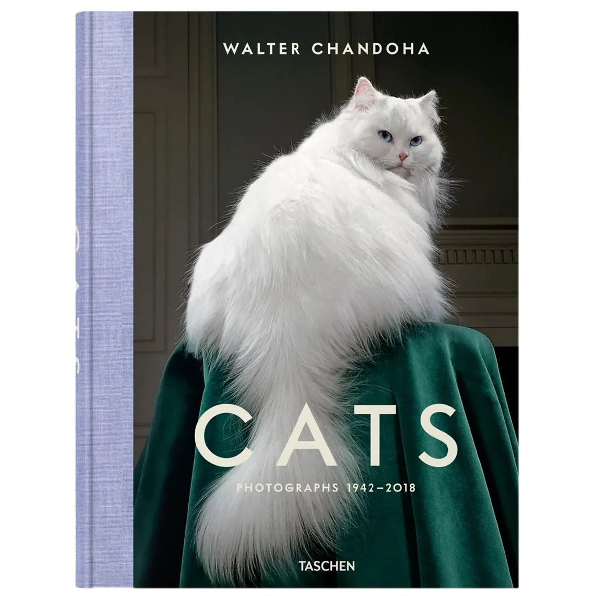 Walter Chandoha. Cats. Photo 19422018